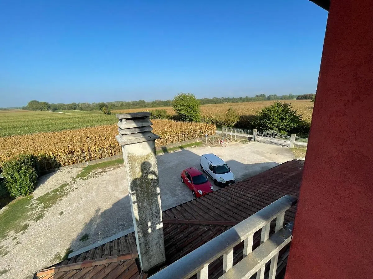 아파트 Agriturismo Alla Vigna 산리베라엘